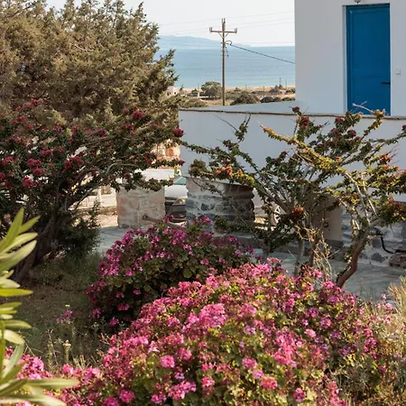 Aurea Blu 16, An Island Dream In Untouched Nature 아파트 알리코비치